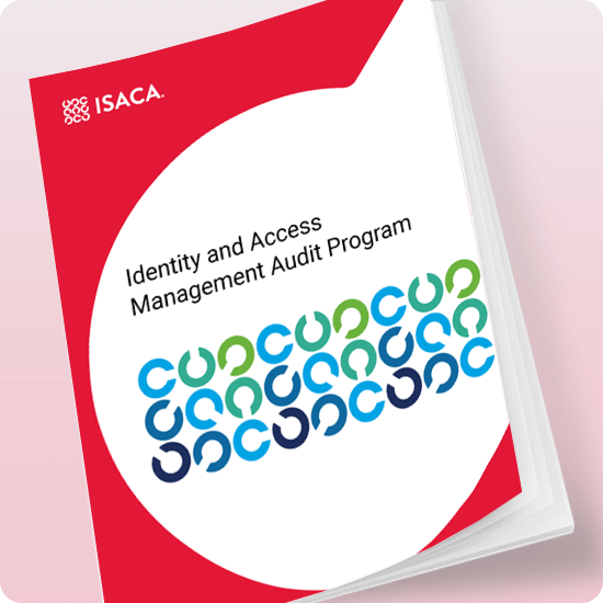 Identity and Access Management Audit Program