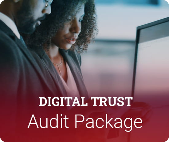 DTEF Audit Package