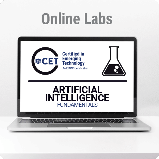 Portuguese: Artificial Intelligence Fundamentals Lab Package
