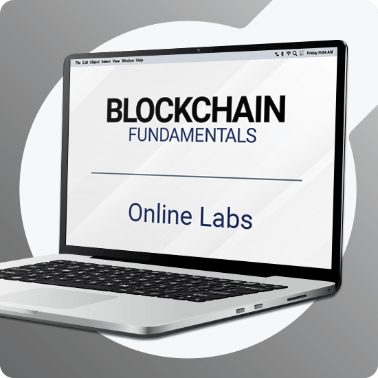 Blockchain Fundamentals Lab Package