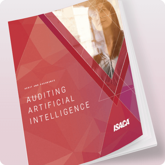 Auditing Artificial Intelligence