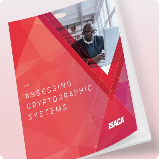 Assessing Cryptographic Systems