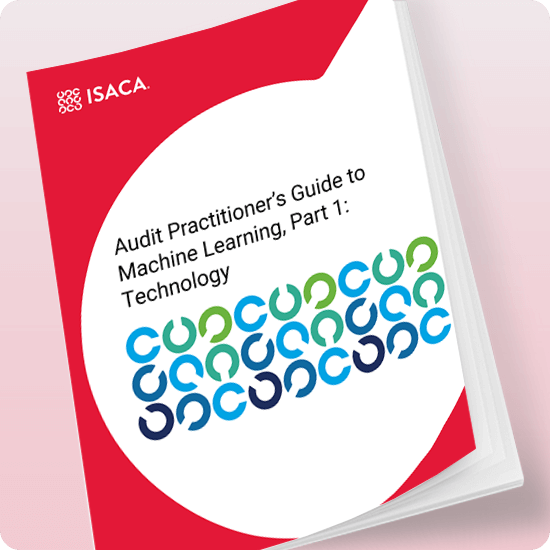 Audit Practitioner’s Guide to Machine Learning, Part 1