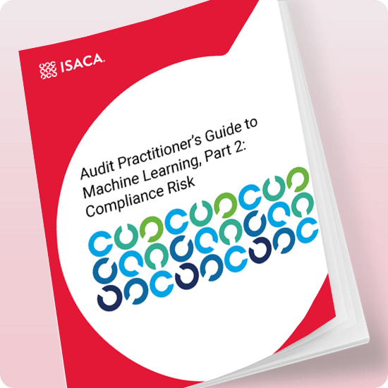 Audit Practitioner’s Guide to Machine Learning, Part 2