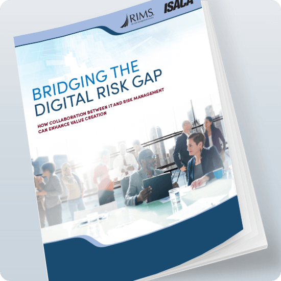 Bridging the Digital Risk Gap