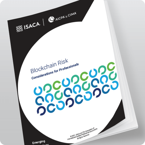 Blockchain Risk Considerations for Professionals