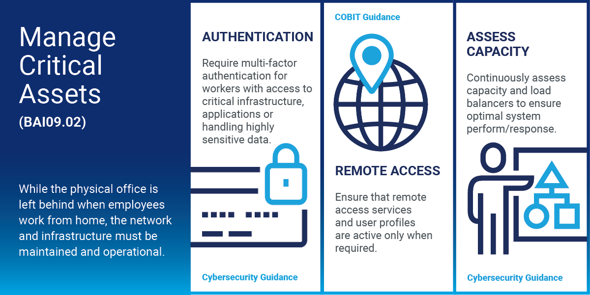 Manage Critical Assets (BAI09.02)