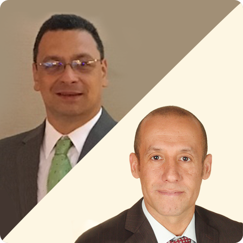 Leveraging COBIT 2019 to Face the Challenge of Digital Transformation in Small Enterprises