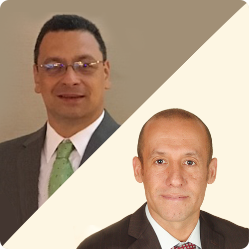 Leveraging COBIT 2019 to Face the Challenge of Digital Transformation in Small Enterprises