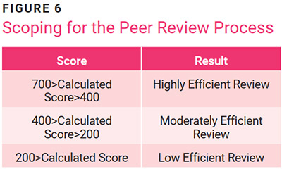 A Standardized Approach for Peer Review of Internal Audit Figure 6