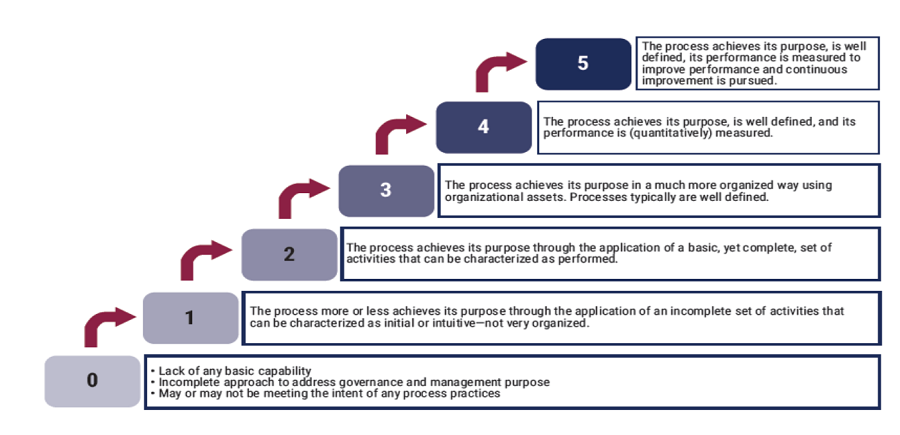 ‘A COBIT 2019 Use Case: Financial Institutions in Georgia
