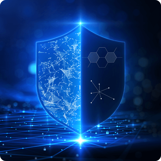 A digital shield