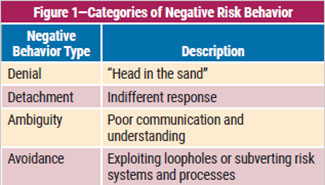 Figure 1 - Categories of Negative Risk Behavior