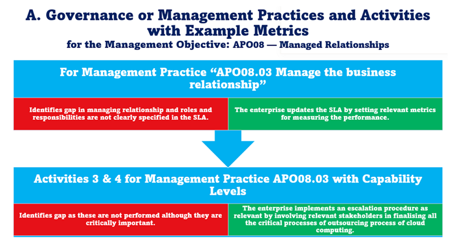 Strategies to Customize and Implement COBIT Best Practices