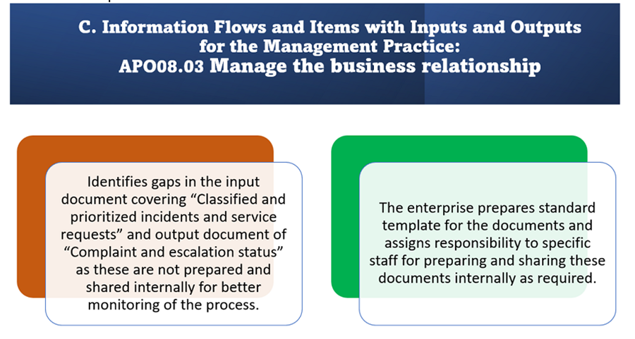 Strategies to Customize and Implement COBIT Best Practices