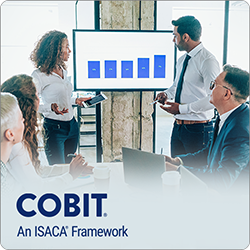 Cobit Application Rationalization