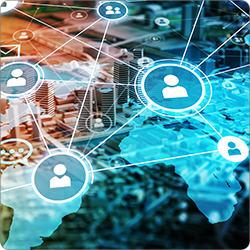Four Levers to Drive a Cyber savvy Culture