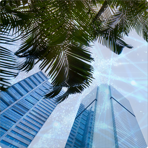 IT Auditors Corporate Jungle