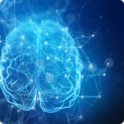 UK Cyber Security Council Established to Strengthen Skill Sets, Collaboration