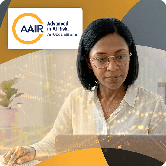 Meet the Challenges of AI Risk