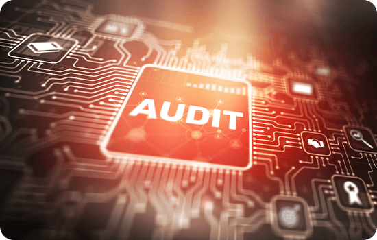 Audit software interface designed for small businesses, showcasing features for financial tracking and compliance management.