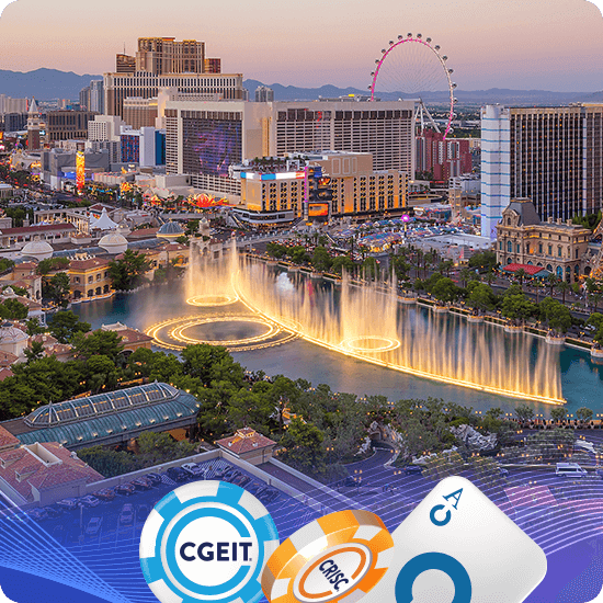 Bellagio Fountains and Conservatory