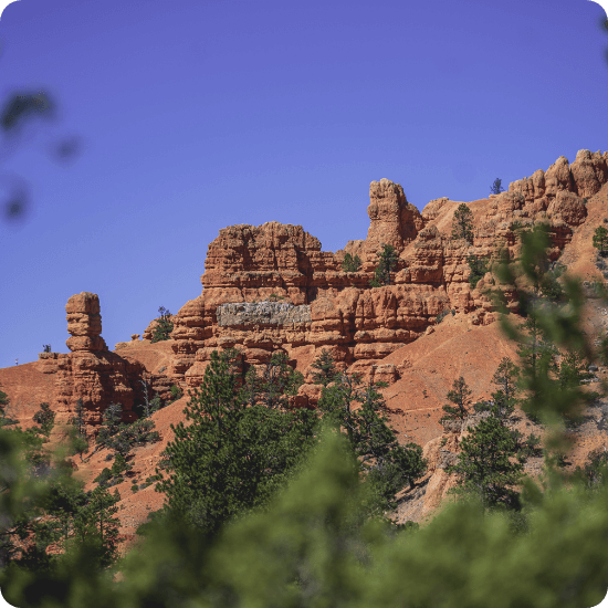 Red Rock Canyon National Conservation Area