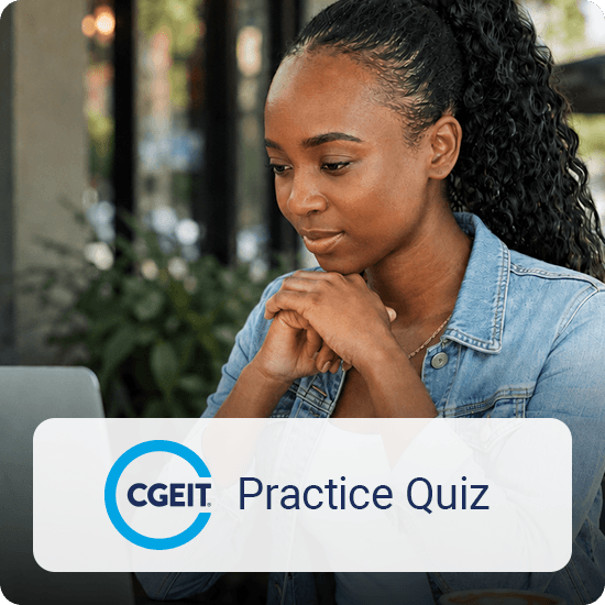 CGEIT  Practice Quiz
