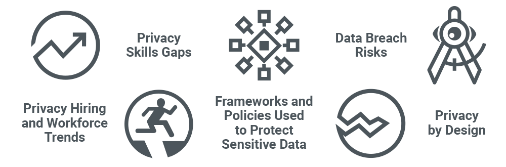 Privacy-in-Practice_report-topics
