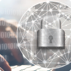 risk assessment case study examples journal volume 5