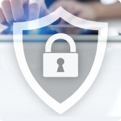 Pandemic-Driven Remote Working and Risk Management Strategies