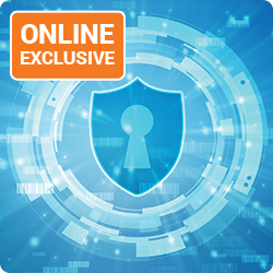 What Government Contractors Should Know About the US DoD’s CMMC Guidelines