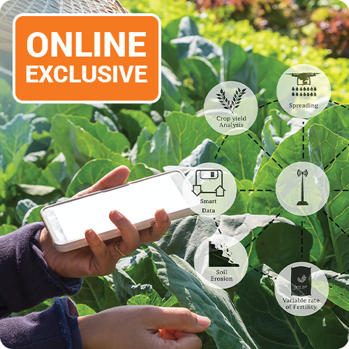 Data and AI Management in Smart Agriculture