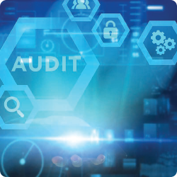 IT Audit