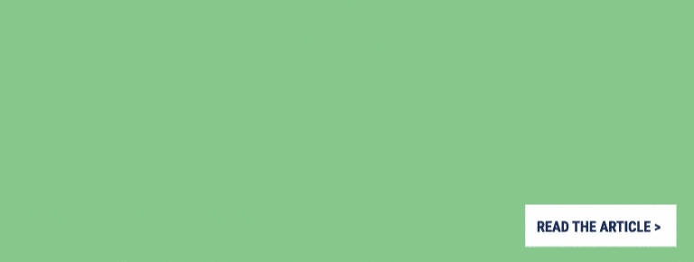 Mindset-Matters-Animation-banner