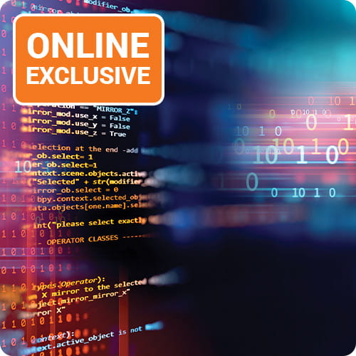 Governance of Key Aspects of System Patch Management