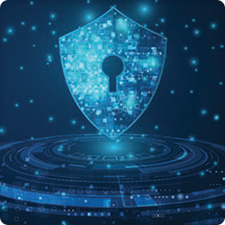 Cyber Decisions Only Executives Can Make