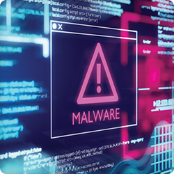 Eliminating the Embedded Malware Threat at the Binary Level