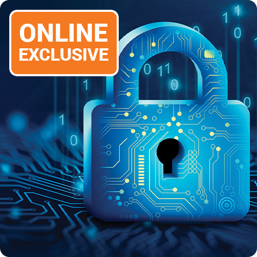 Stop Using the Privacy Paradox as an Excuse to Avoid Privacy by Design - image of lock