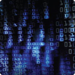 IS Audit in Practice: Do Data Go to Waste?