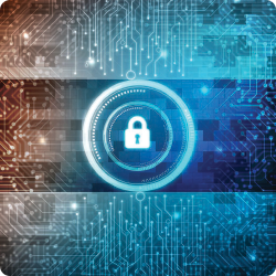 The Future of Privacy: Insights From the EU Digital COVID Certificate