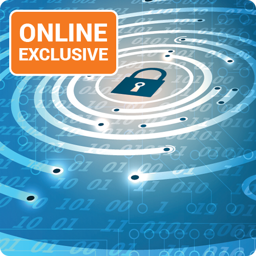 The Information Privacy Contradiction