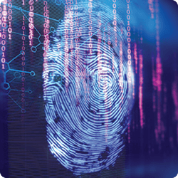 How to Digitally Verify Human Identity: The Case of Voting