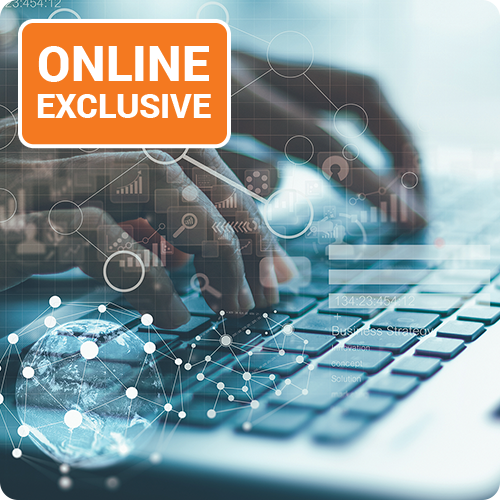 Person typing on keyboard - Addressing Emerging Audit Challenges