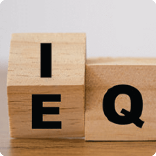 Emotional Intelligence - wood blocks with IEQ 