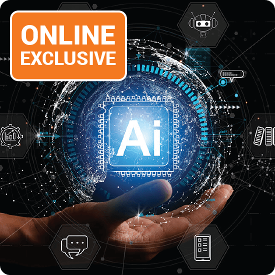 Developing Trustworthy AI: Understanding the Inputs