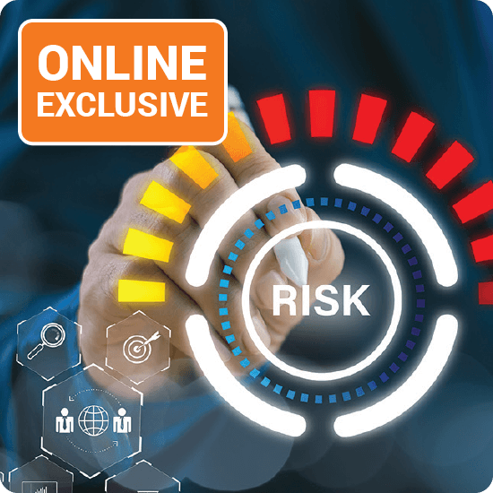 Online exclusive graphic illustrating risk management strategies and tools for businesses.