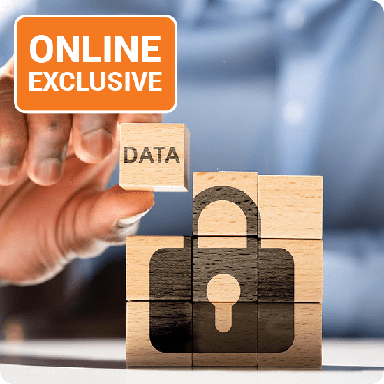 Visual representation of online data protection, showcasing a shield icon with digital patterns, emphasizing security for exclusives.