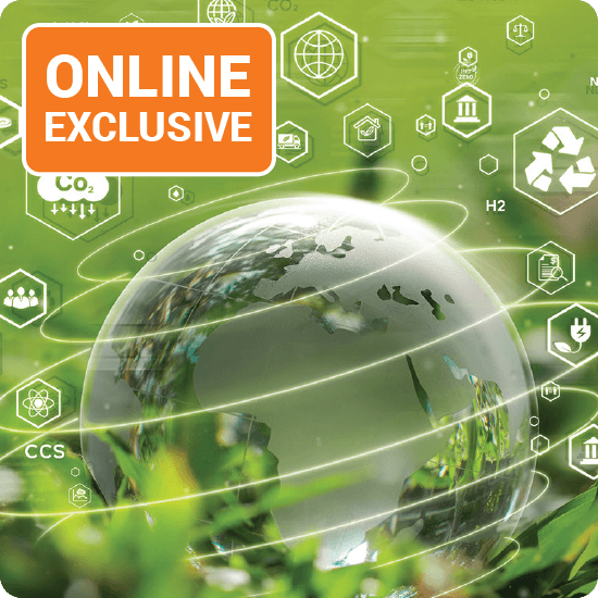 Visual representation of the first online eco-friendly shopping platform, highlighting its commitment to sustainability and eco-conscious products.