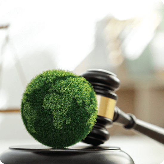 Visual representation of earth law intertwined with the law of nature, highlighting their interconnected principles.